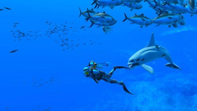 Endless Ocean: Luminous screenshot