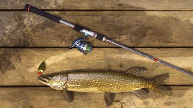 Fishing Planet Screenshot