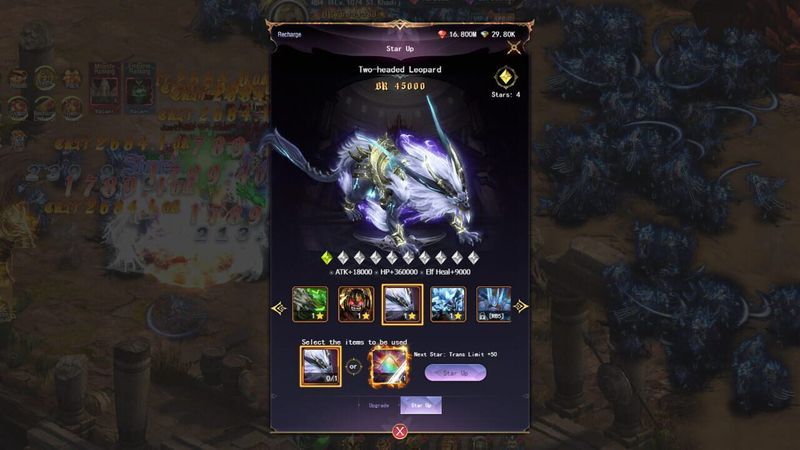 Phoenix Contract cover