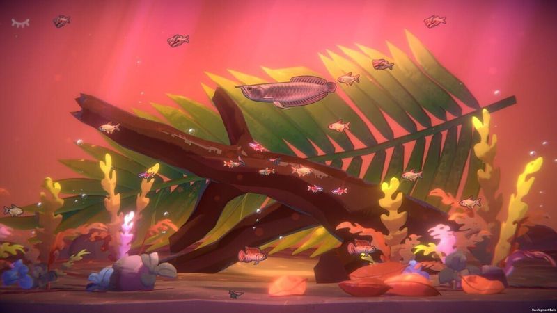 With Me: Aquatic Time cover